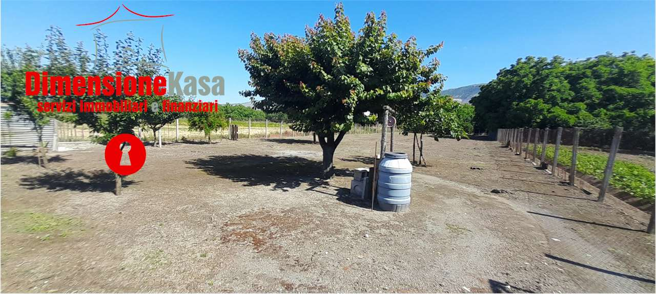 immagine annuncio 4 di 6