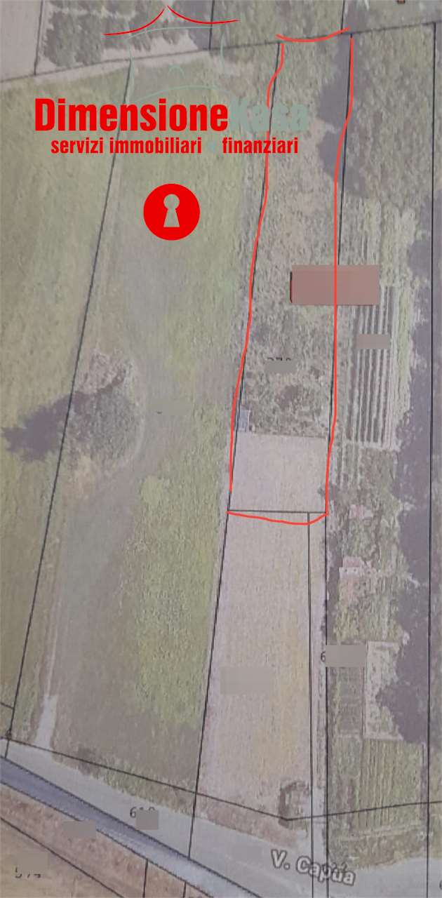 immagine annuncio 5 di 6