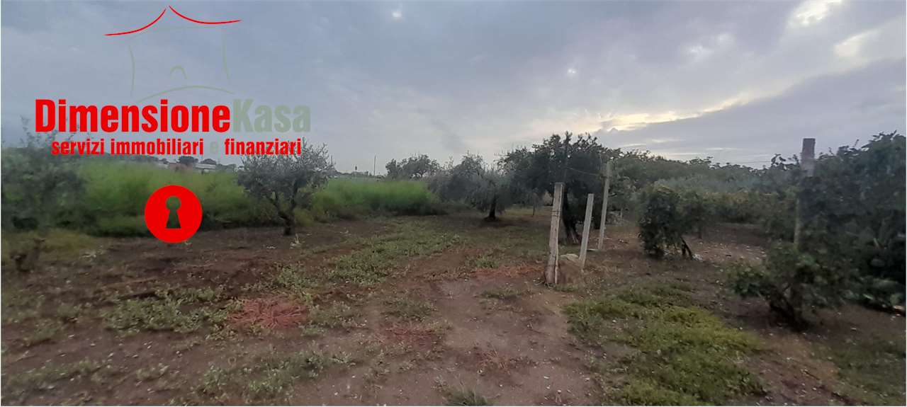 immagine annuncio 3 di 9