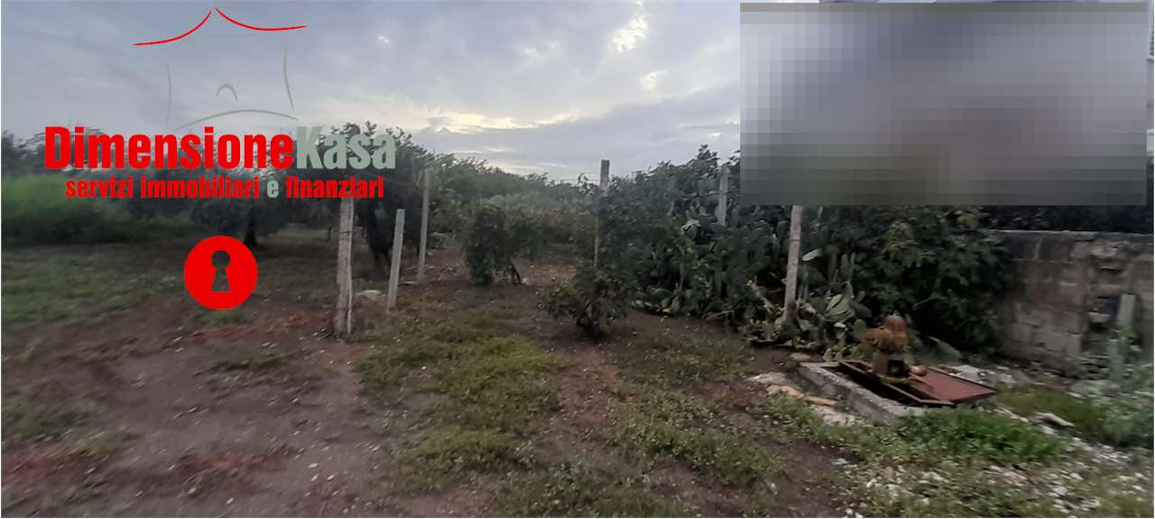 immagine annuncio 5 di 9