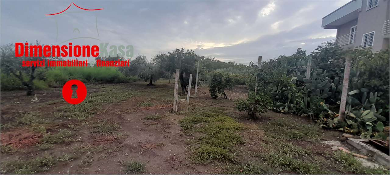 immagine annuncio 6 di 9