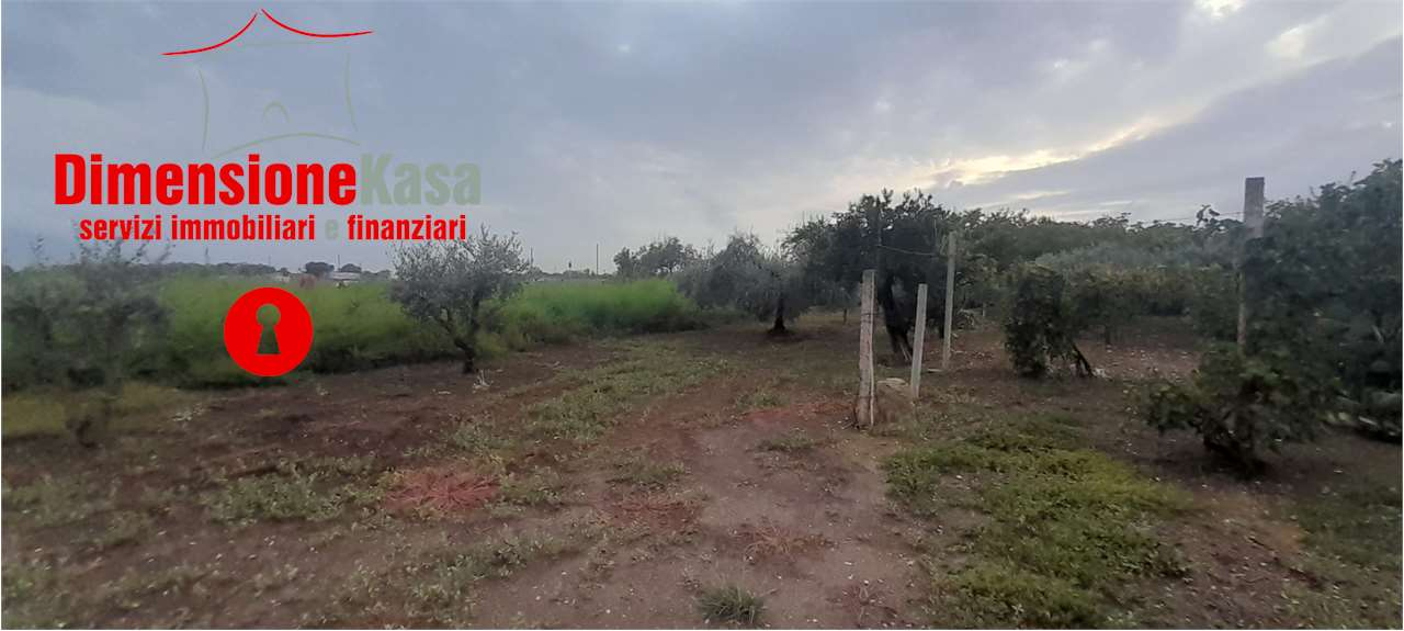 immagine annuncio 7 di 9