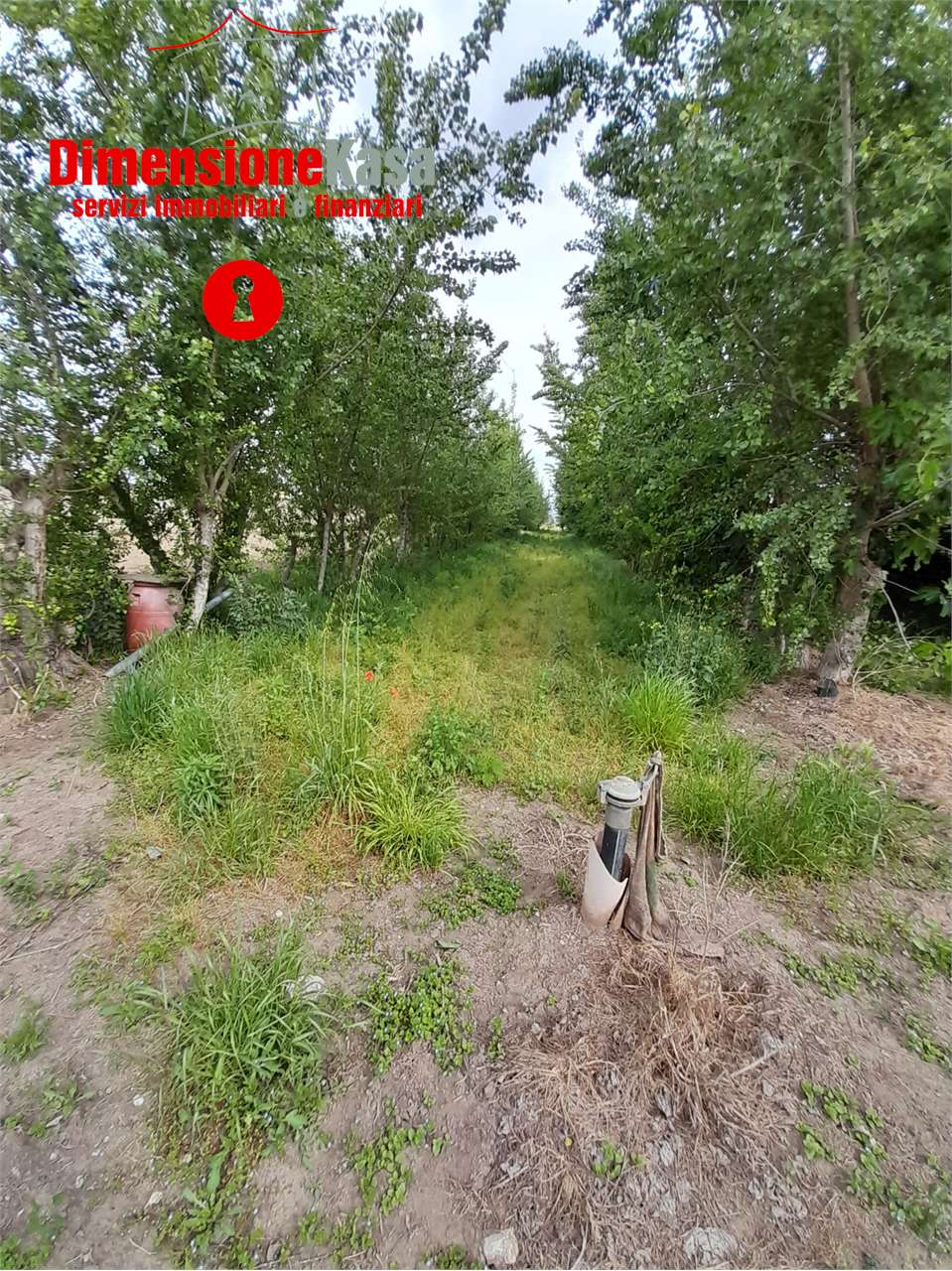 immagine annuncio 6 di 10