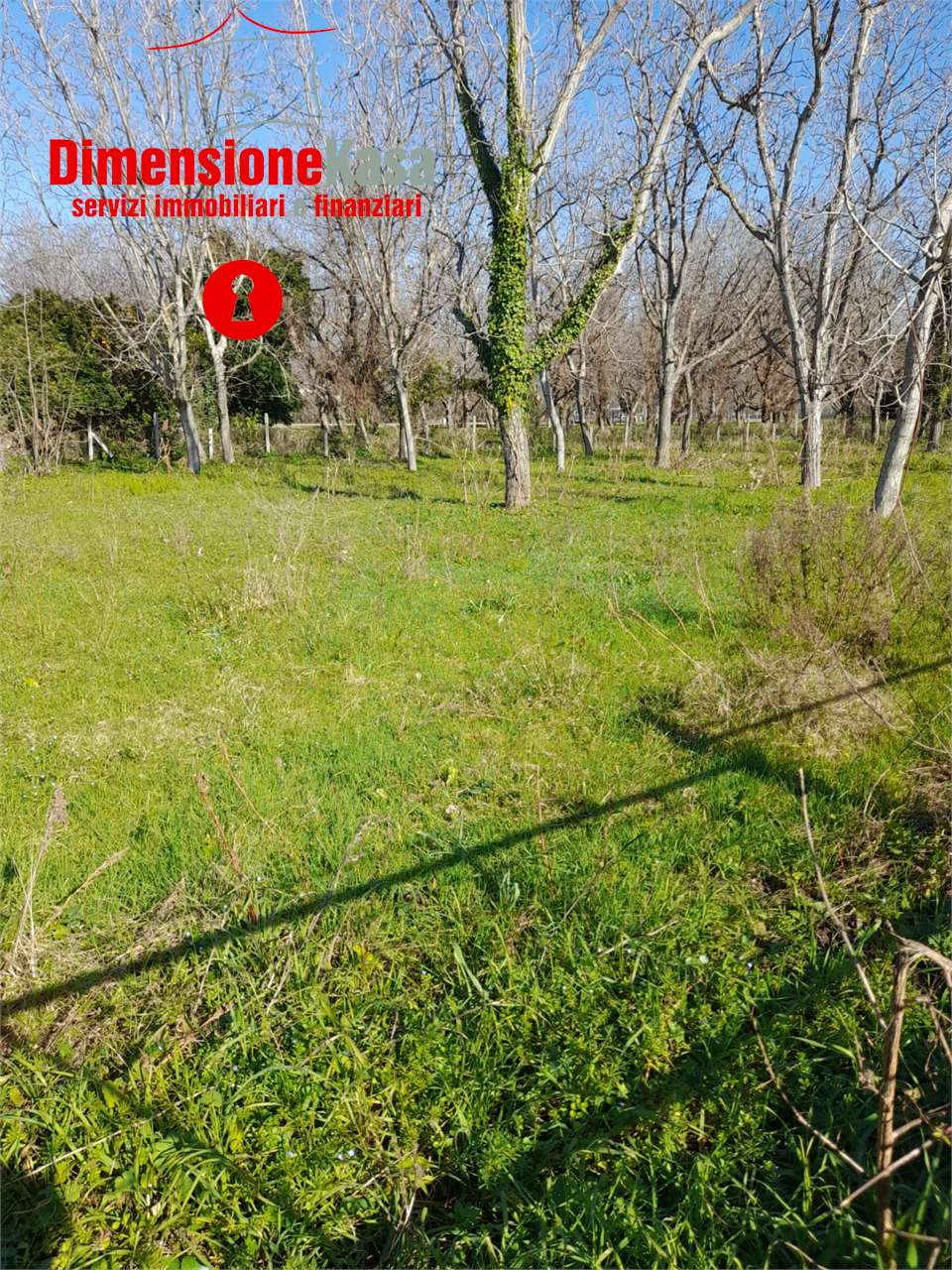 immagine annuncio 2 di 3