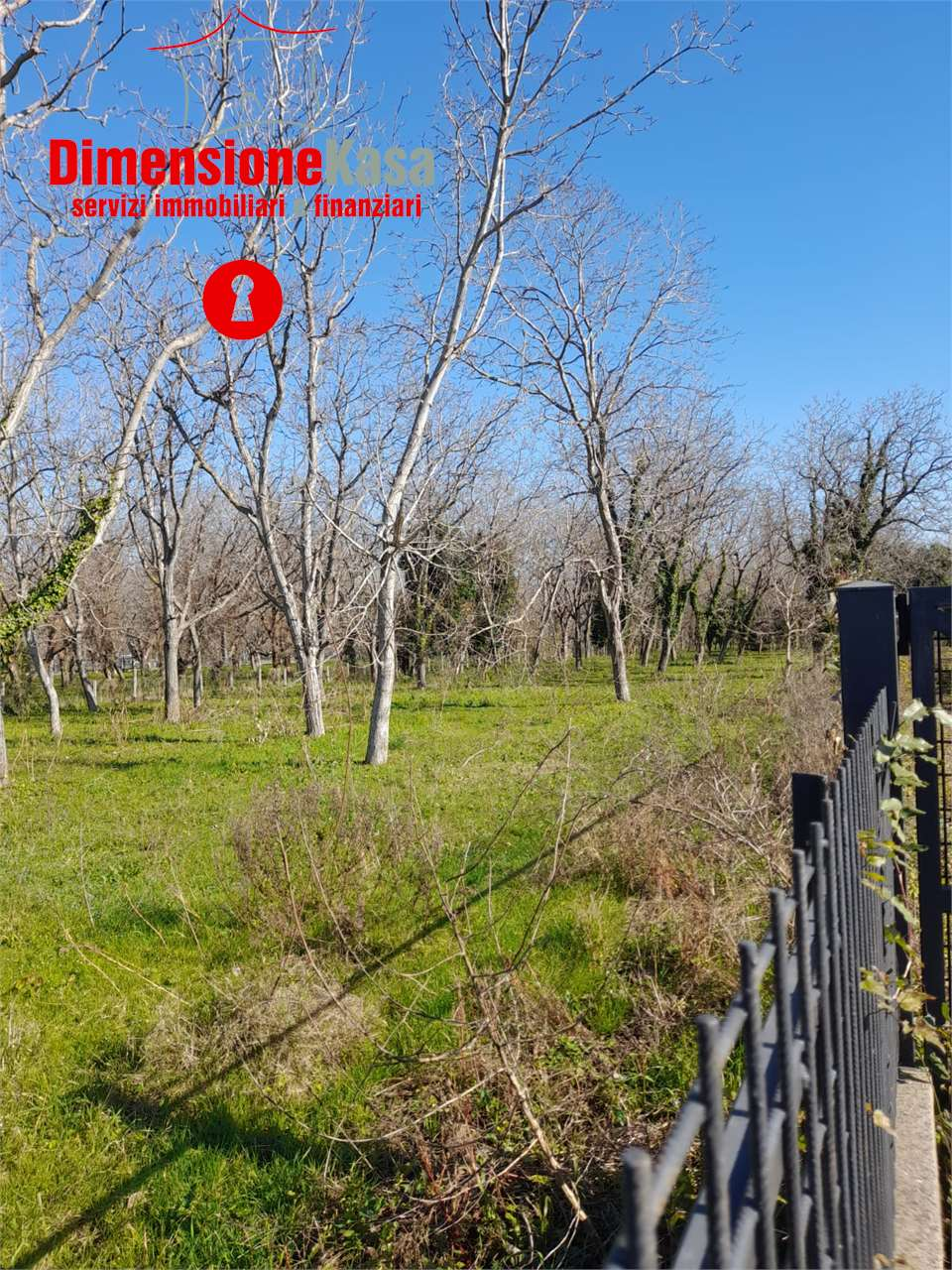 immagine annuncio 1 di 3