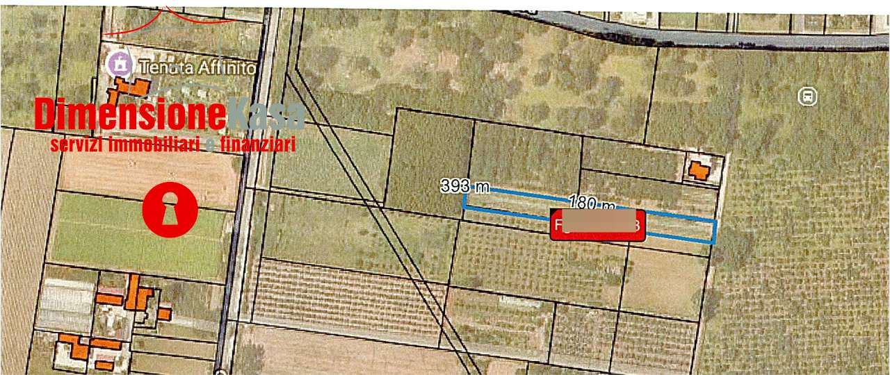 immagine annuncio 9 di 10