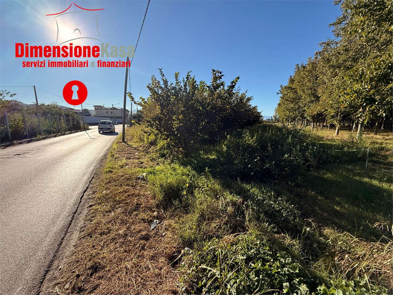 immagine annuncio 3 di 8