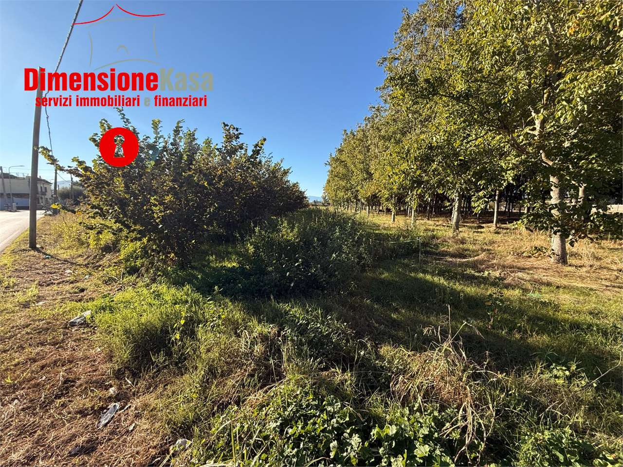 immagine annuncio 4 di 8