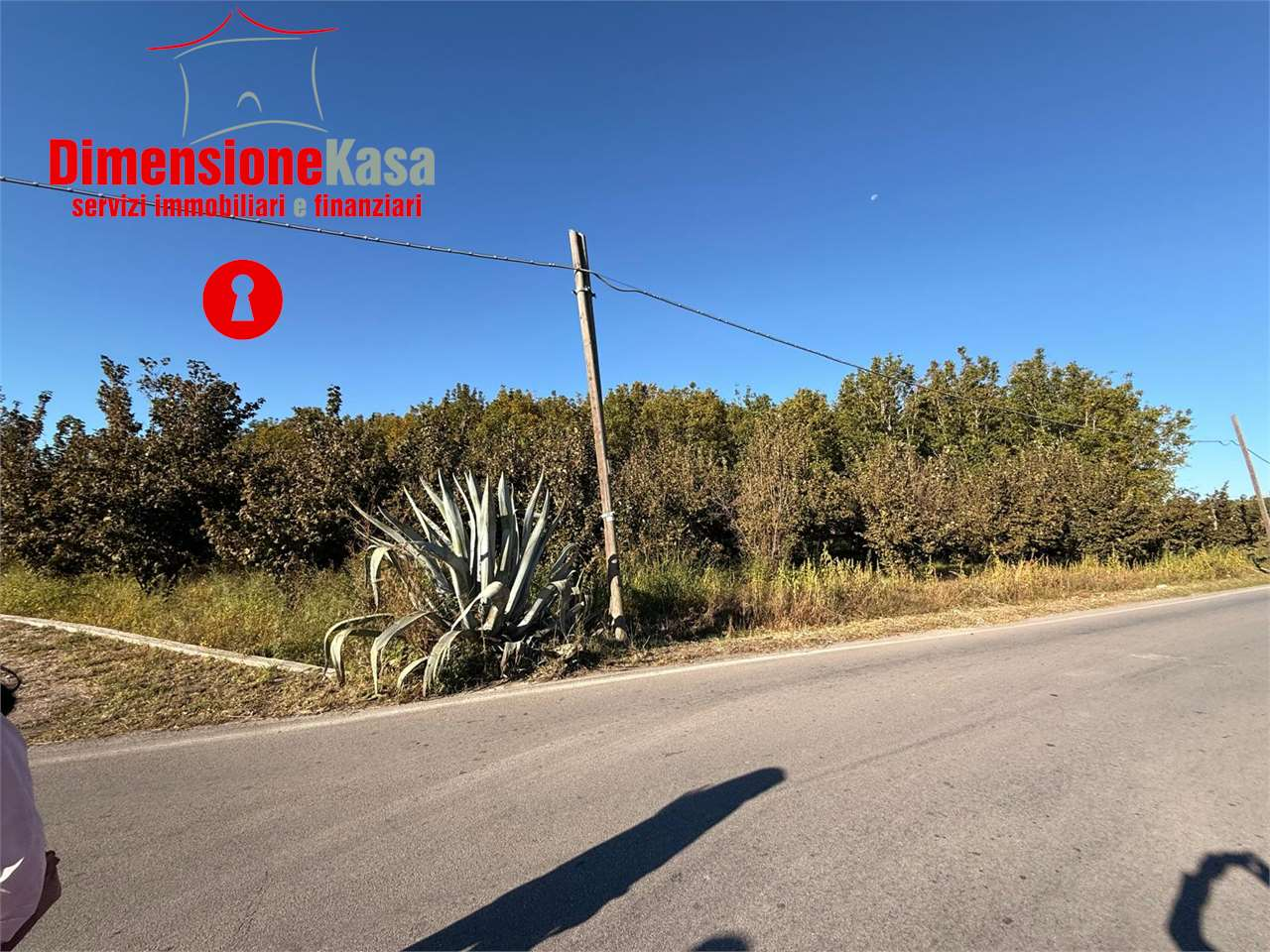 immagine annuncio 1 di 8