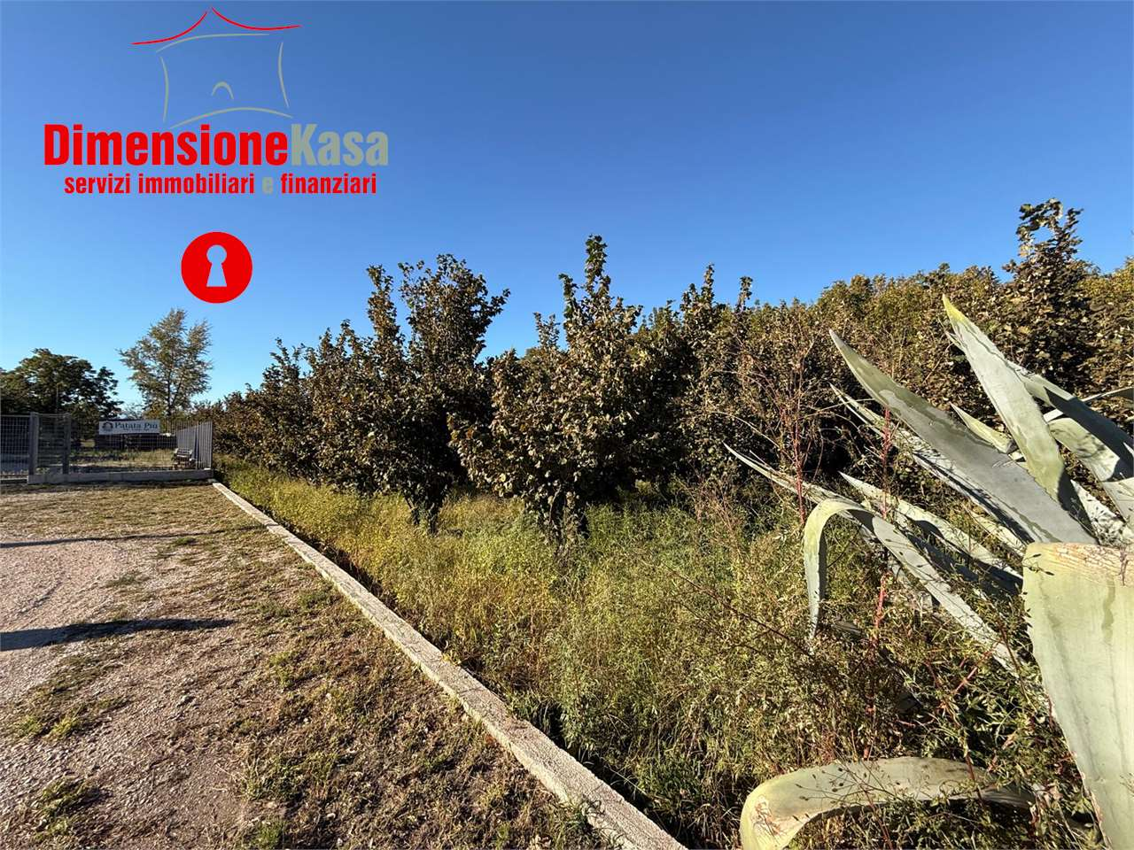 immagine annuncio 2 di 8