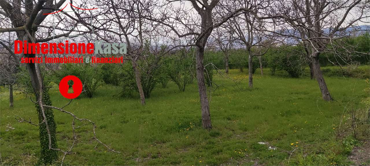 immagine annuncio 2 di 9