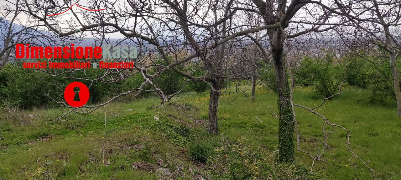 immagine annuncio 6 di 9