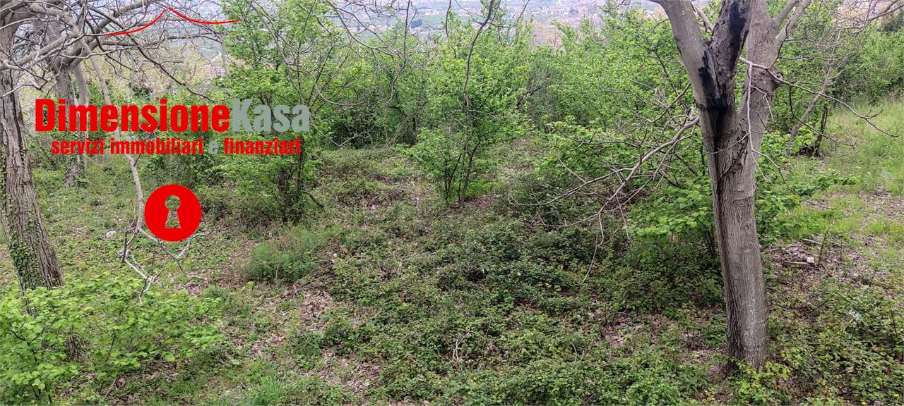 immagine annuncio 4 di 9