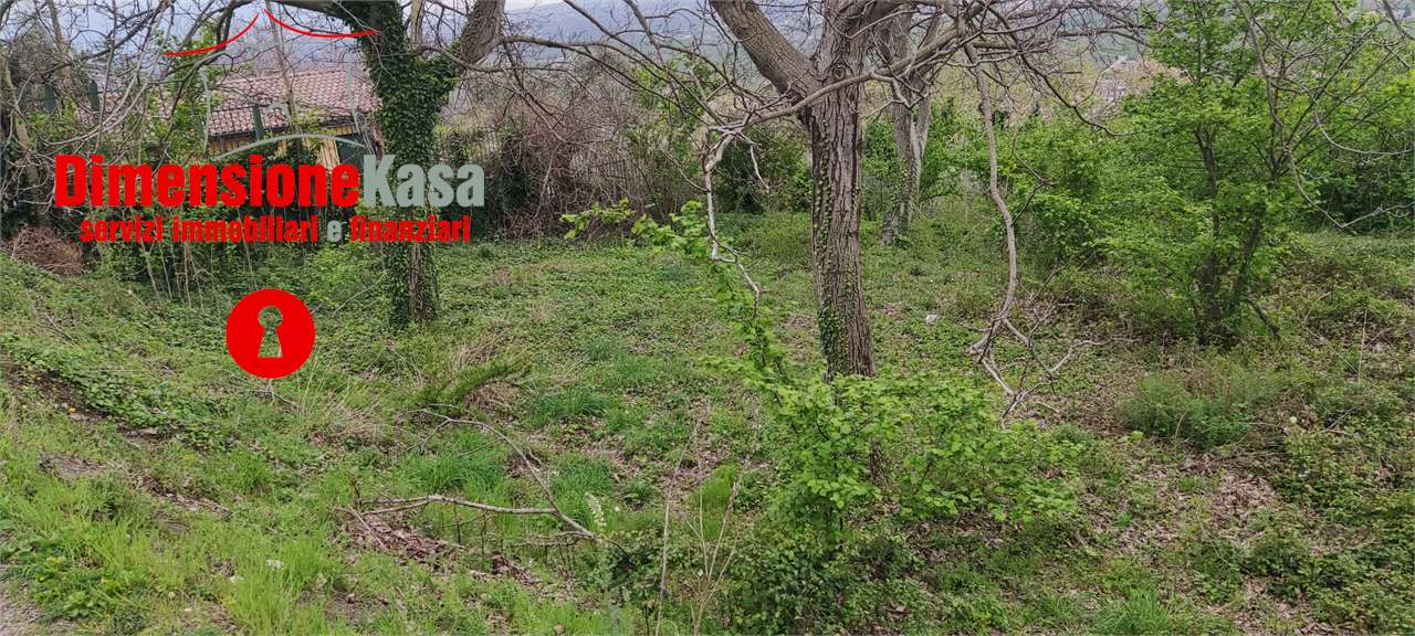 immagine annuncio 7 di 9