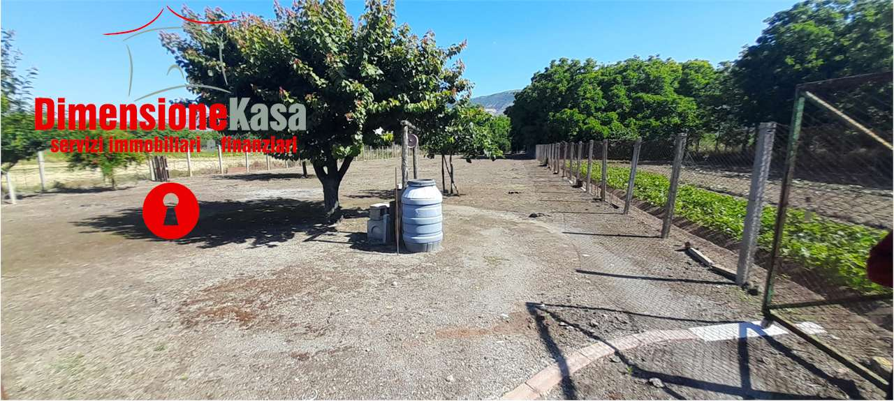 immagine annuncio 1 di 6