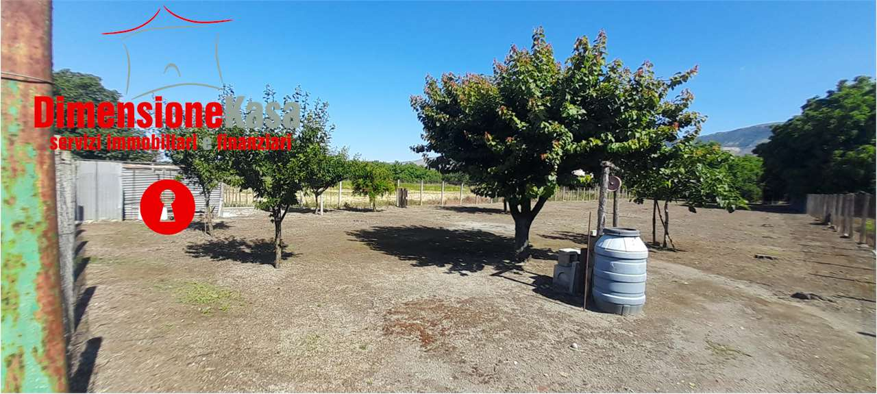 immagine annuncio 2 di 6