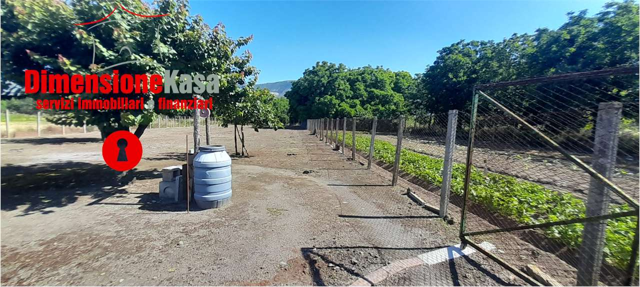 immagine annuncio 3 di 6