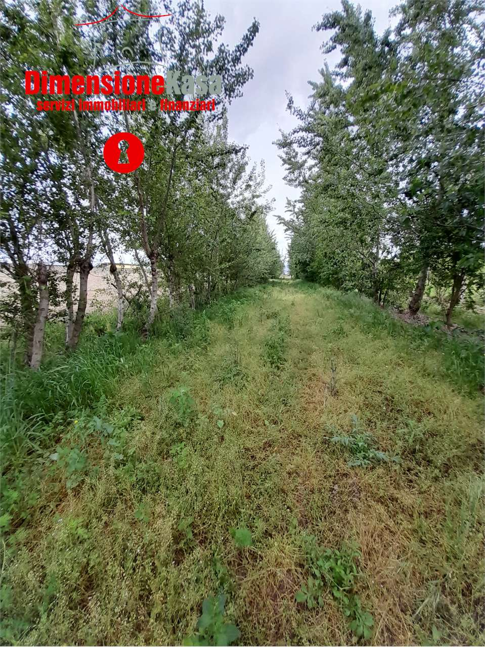 immagine annuncio 6 di 10