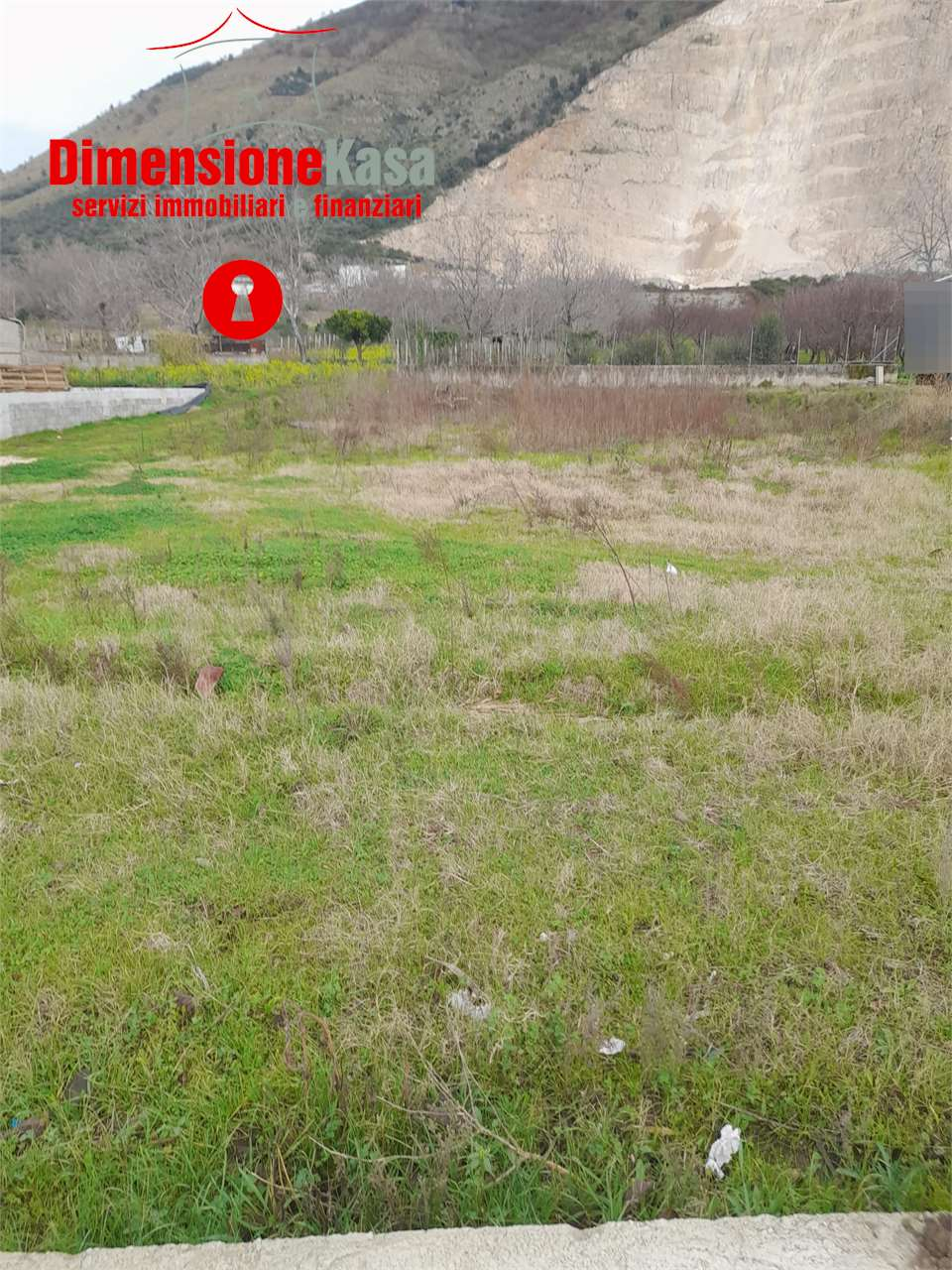 immagine annuncio 5 di 6