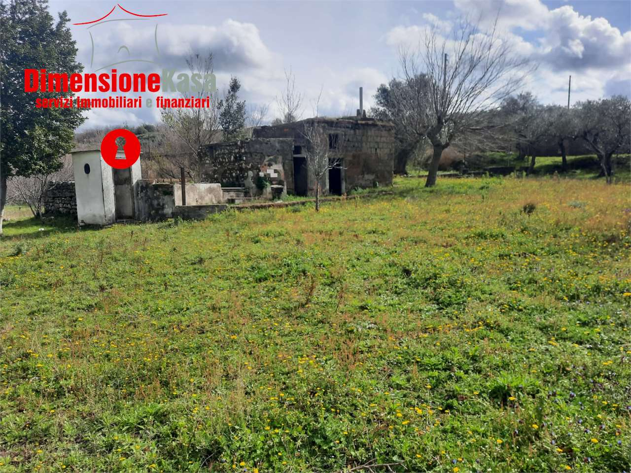 immagine annuncio 5 di 10