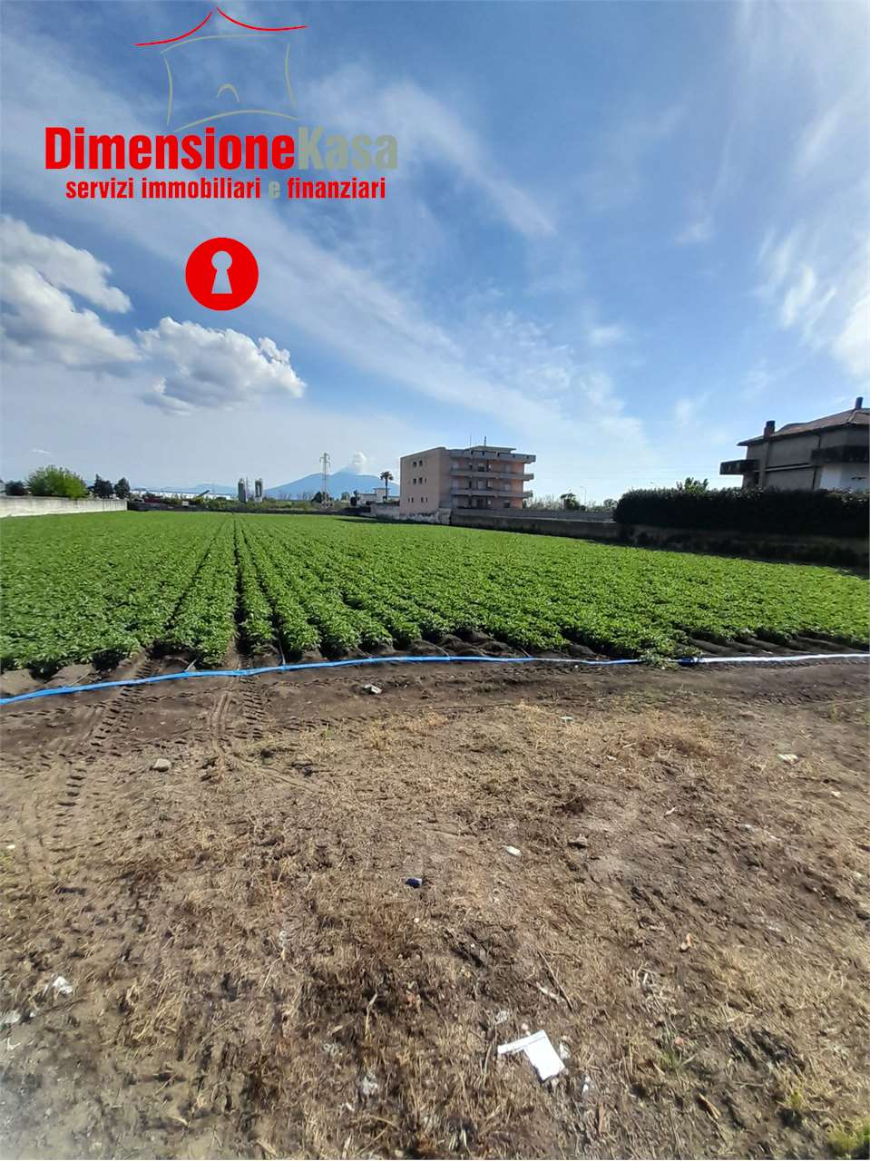 immagine annuncio 1 di 4