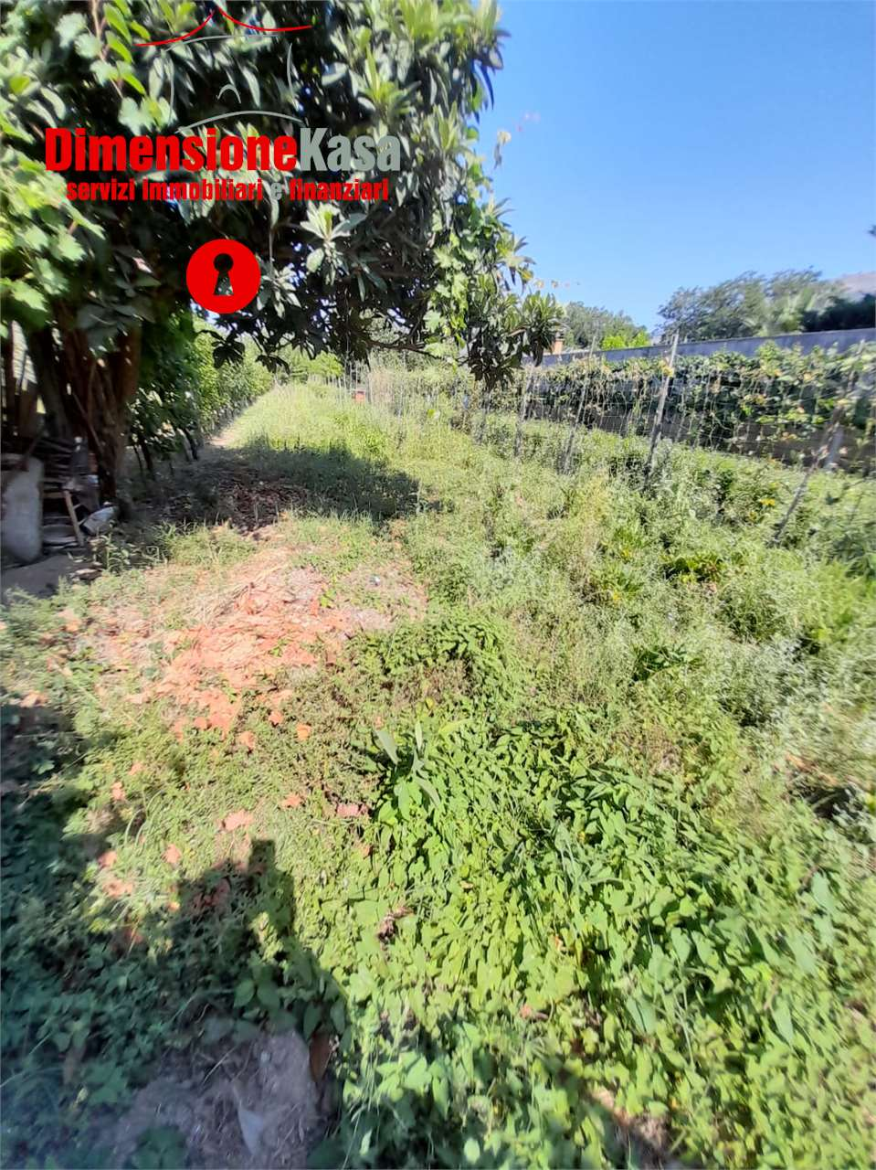 immagine annuncio 2 di 4