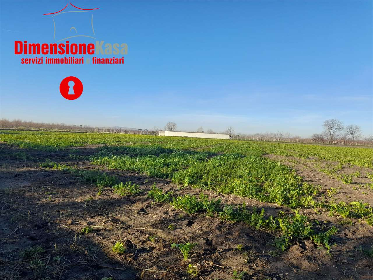 terreno agricolo in vendita a Nola in zona Polvica