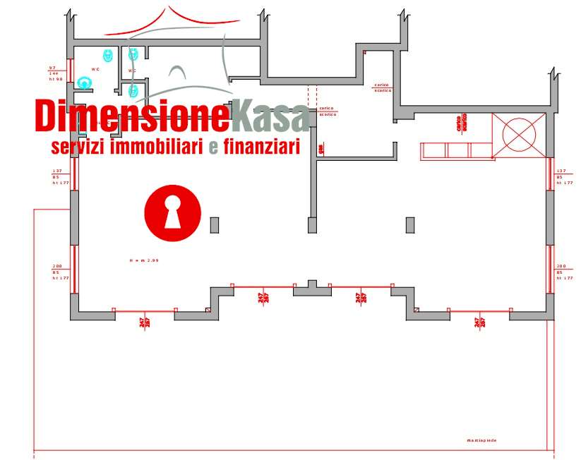 immagine annuncio 3 di 7