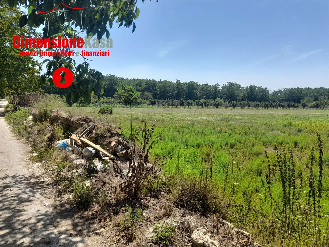 immagine annuncio 3 di 10