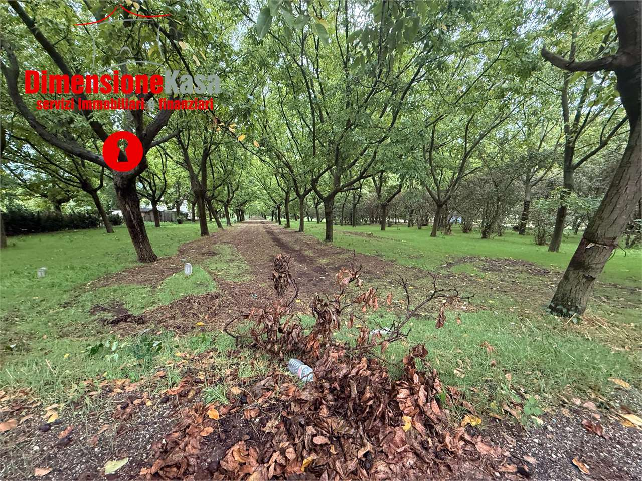 immagine annuncio 6 di 7