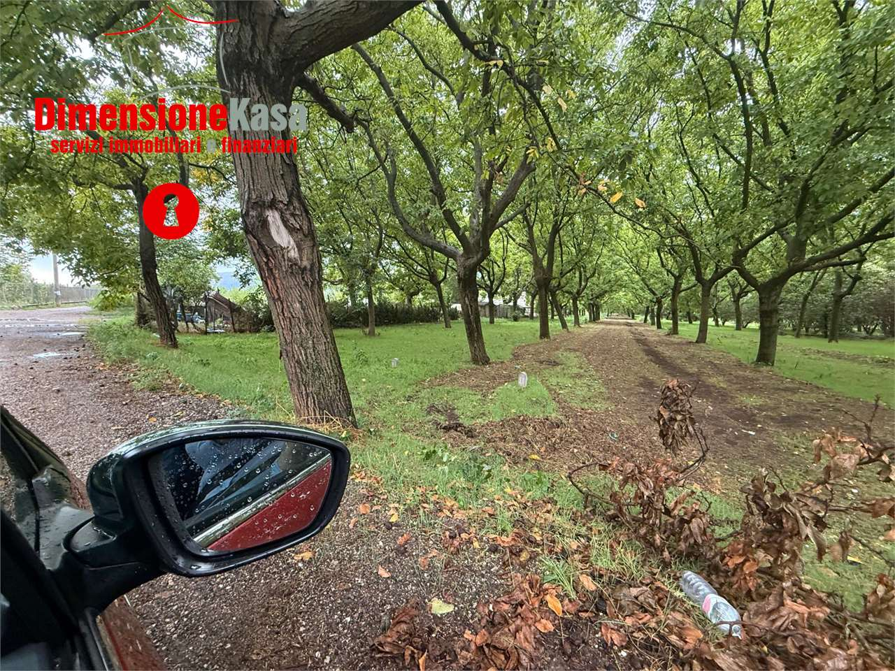 immagine annuncio 1 di 7