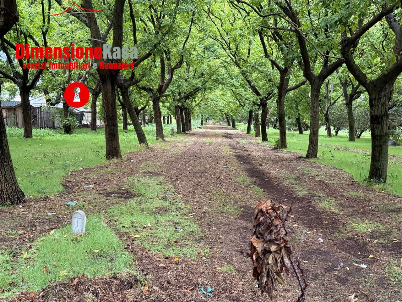 immagine annuncio 2 di 7