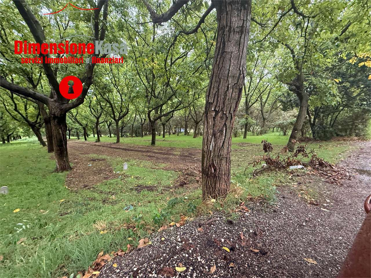 immagine annuncio 4 di 7