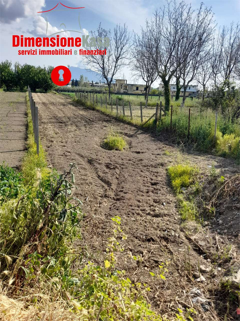 immagine annuncio 2 di 3