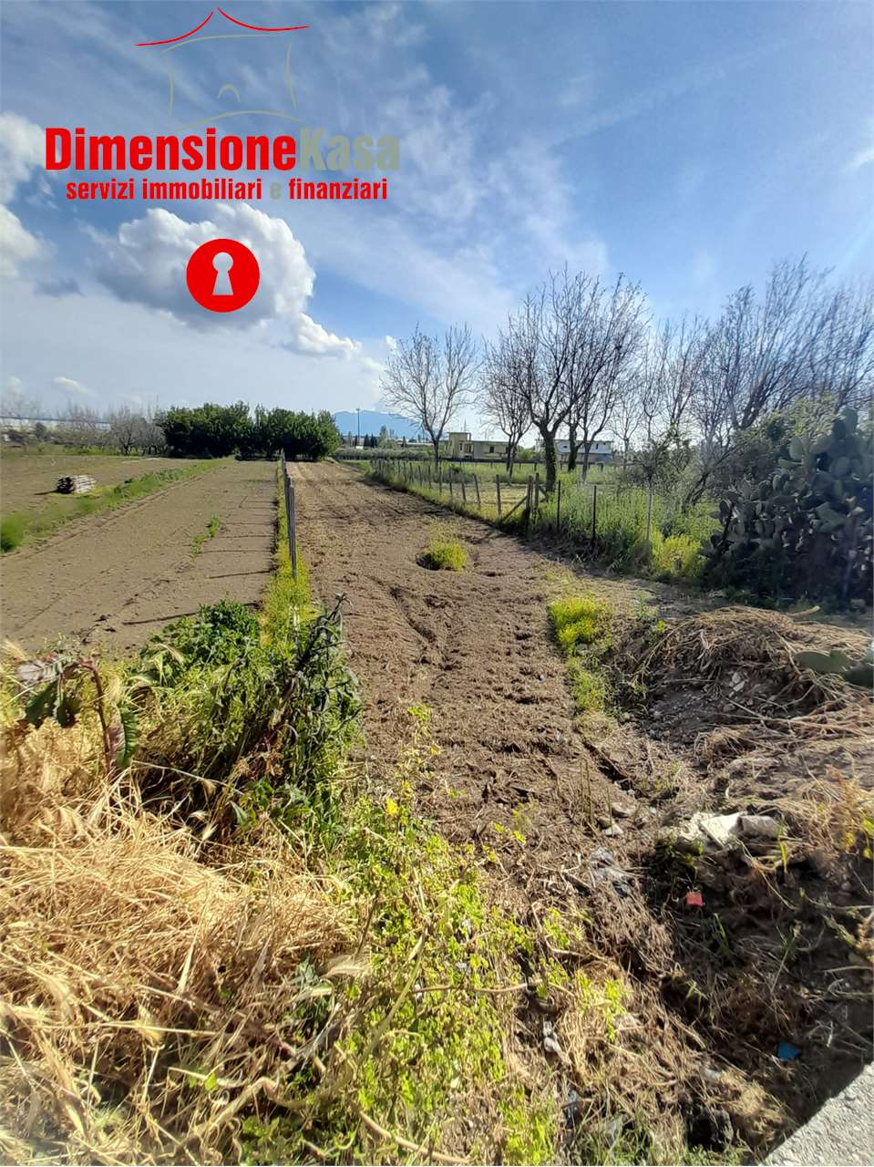 immagine annuncio 1 di 3