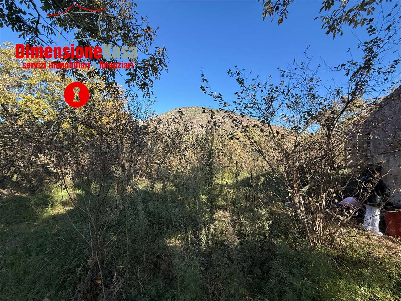 immagine annuncio 2 di 9