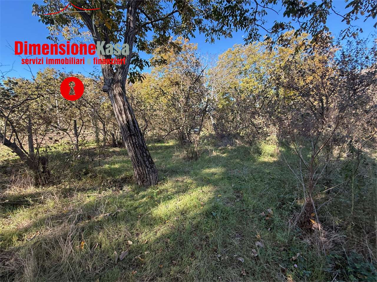 immagine annuncio 4 di 9