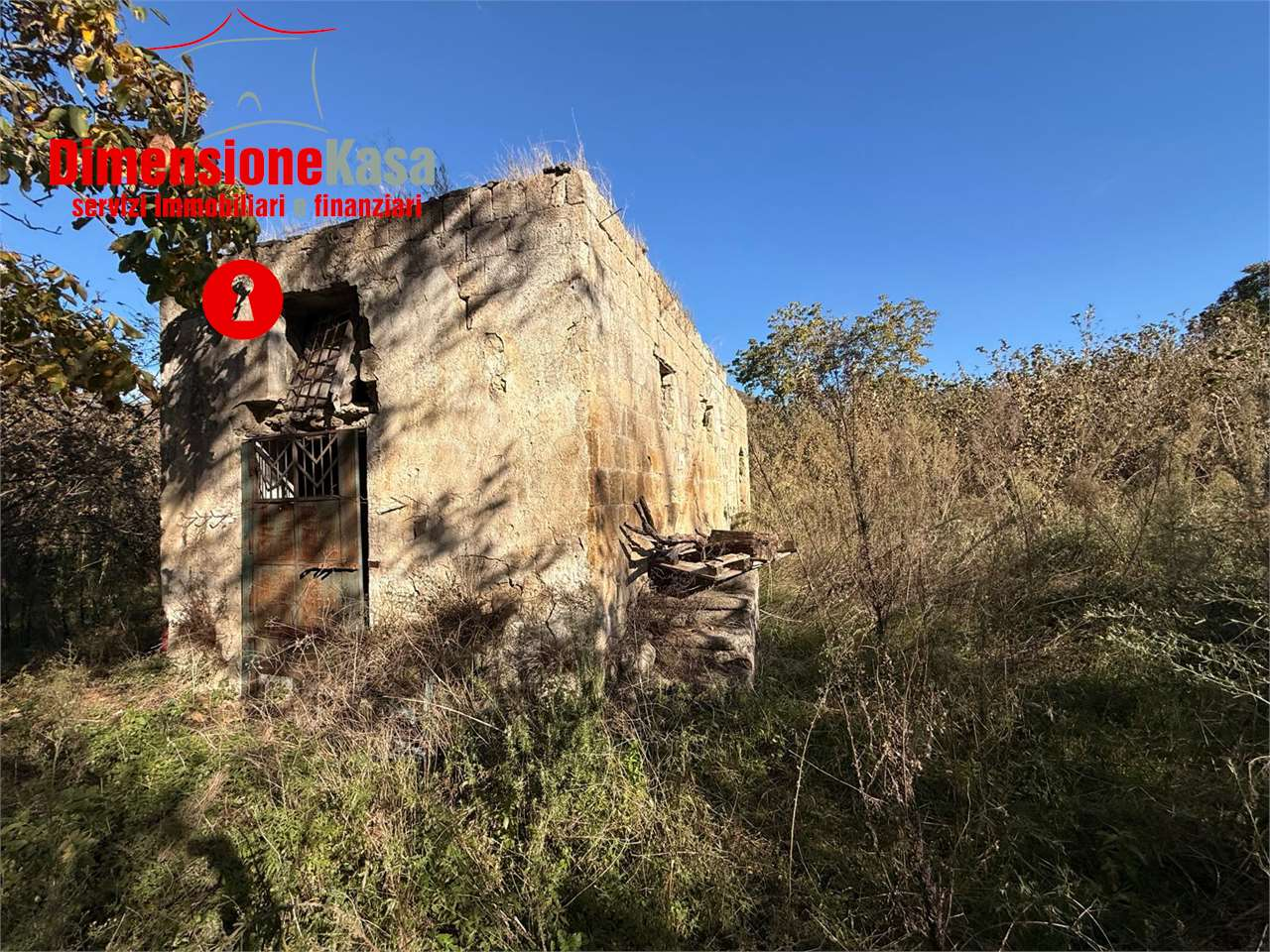 immagine annuncio 3 di 9