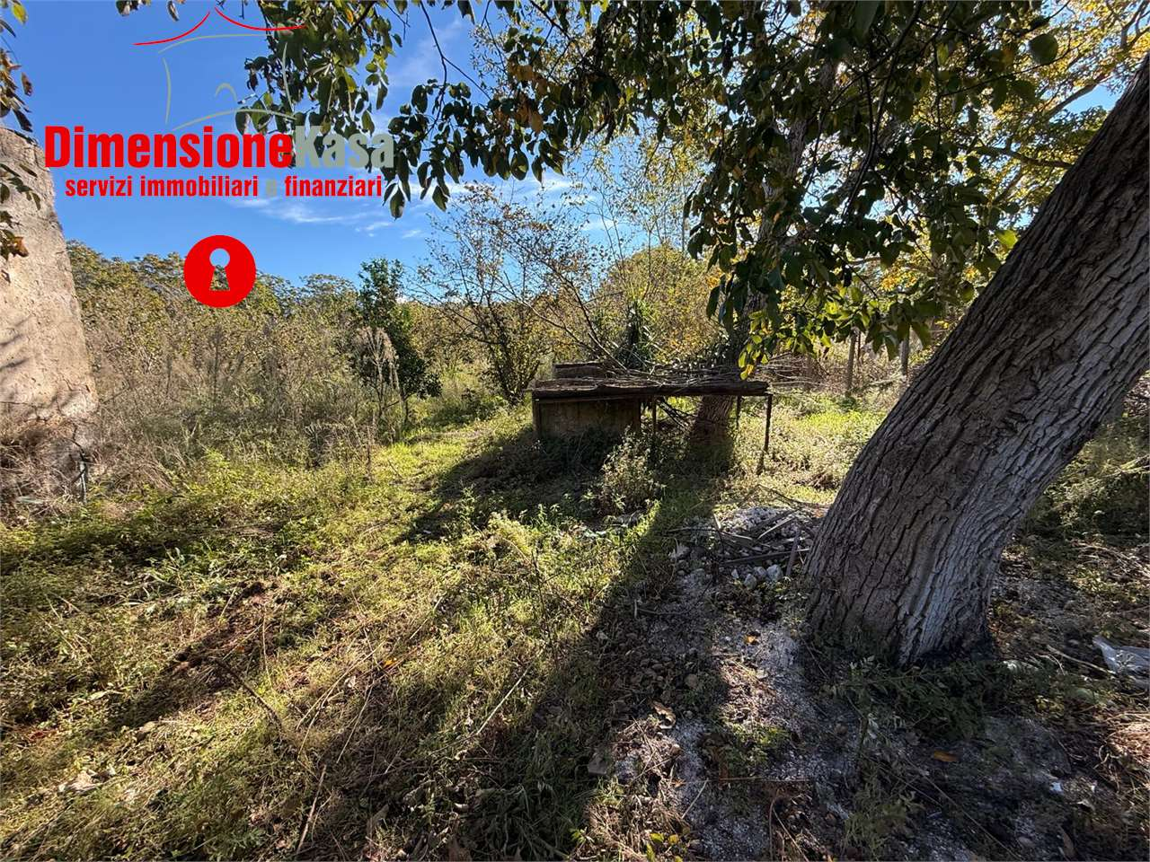 immagine annuncio 5 di 9