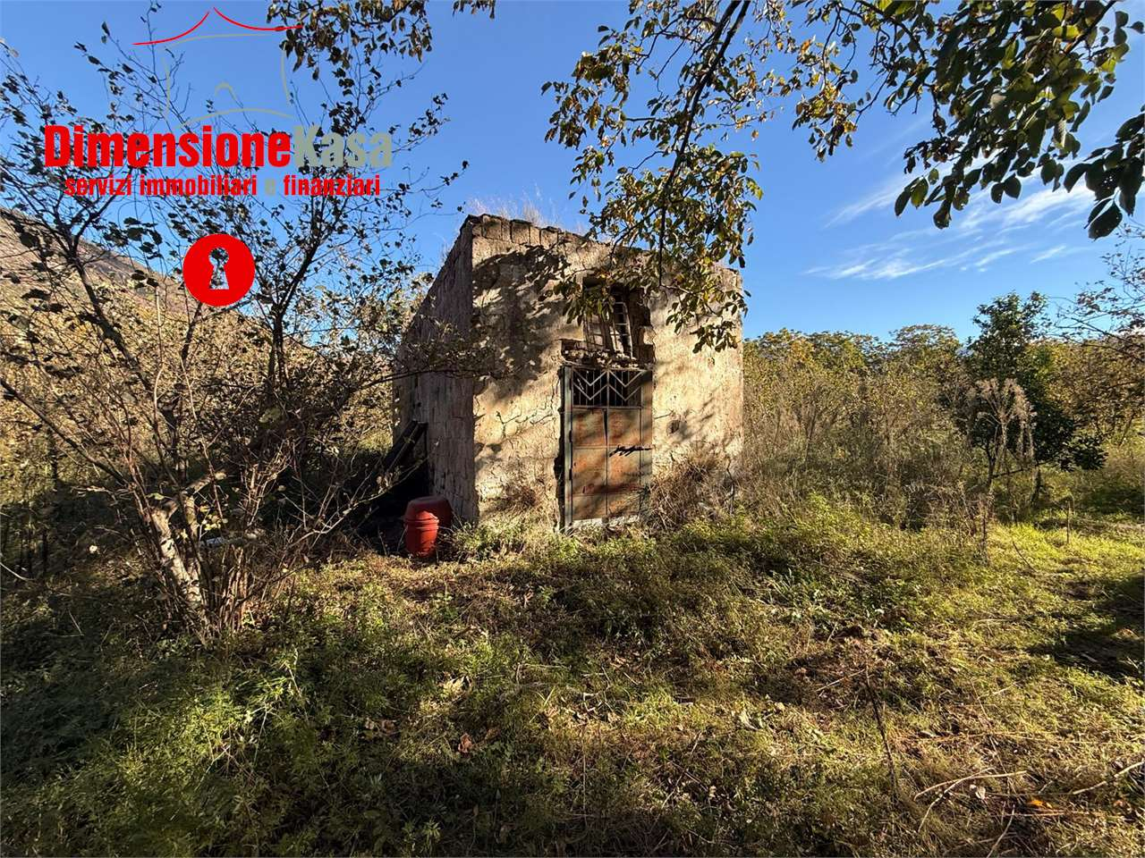 immagine annuncio 6 di 9