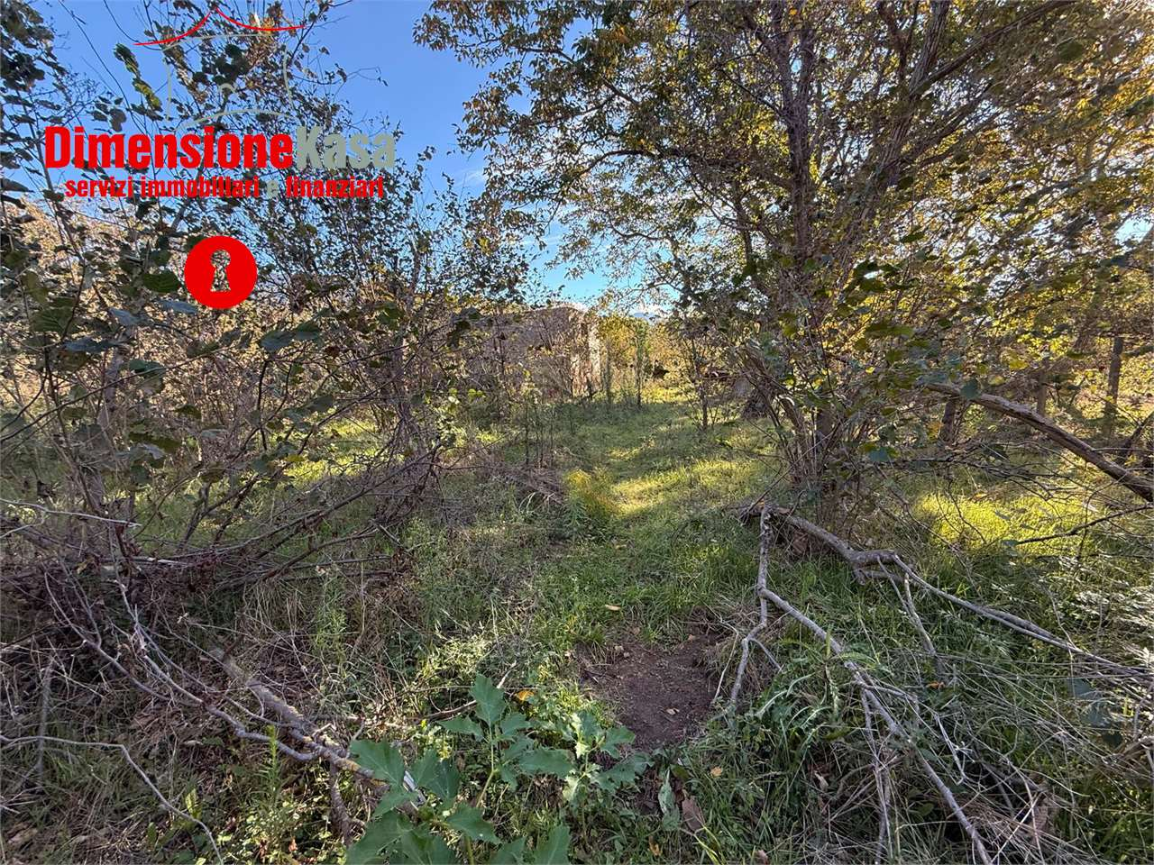 immagine annuncio 7 di 9