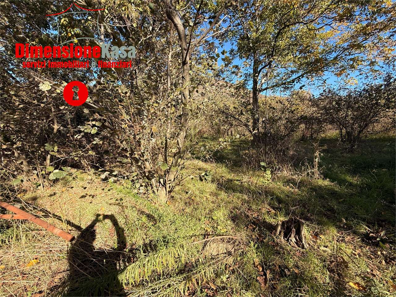 immagine annuncio 8 di 9