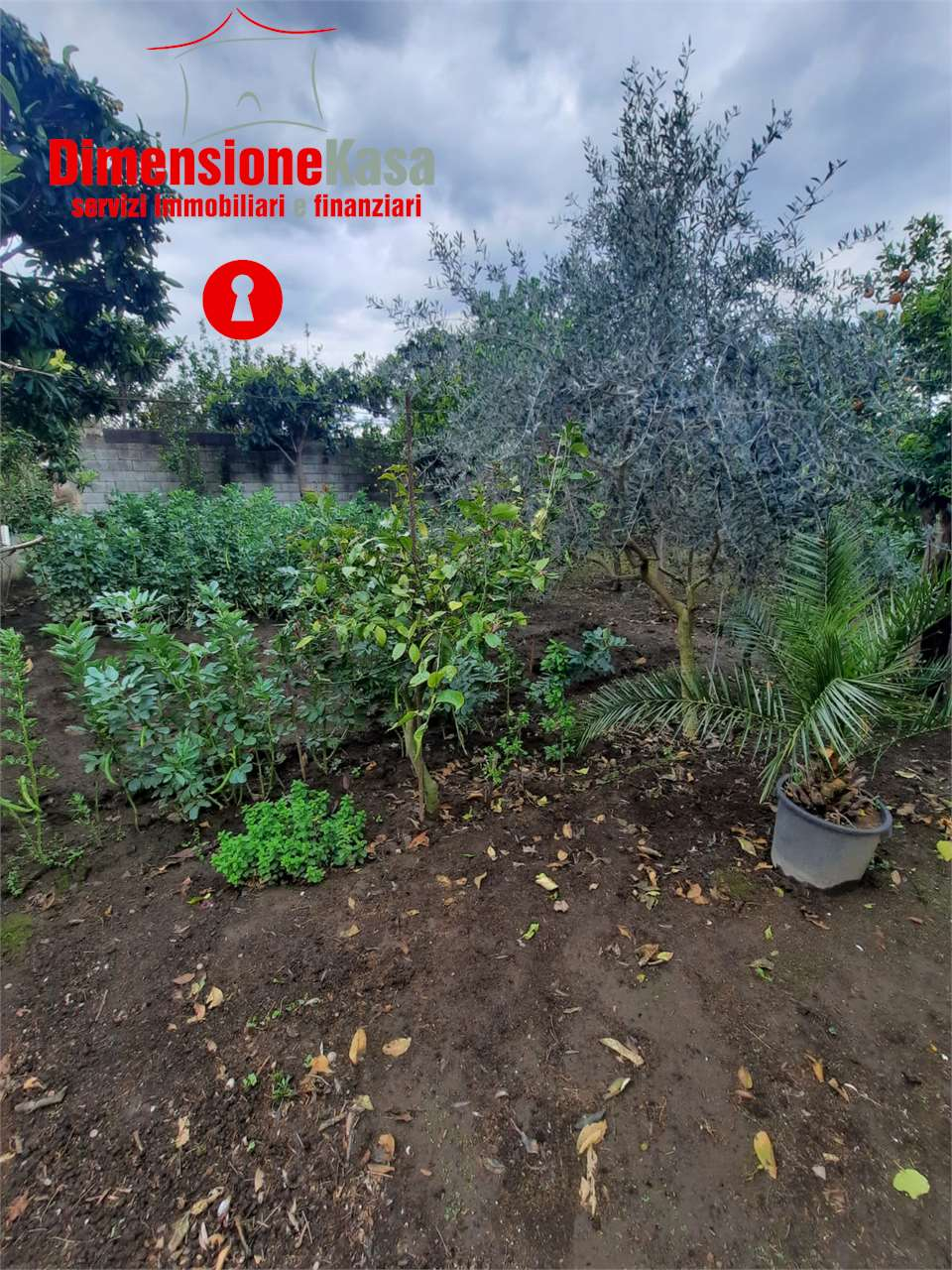 immagine annuncio 1 di 7