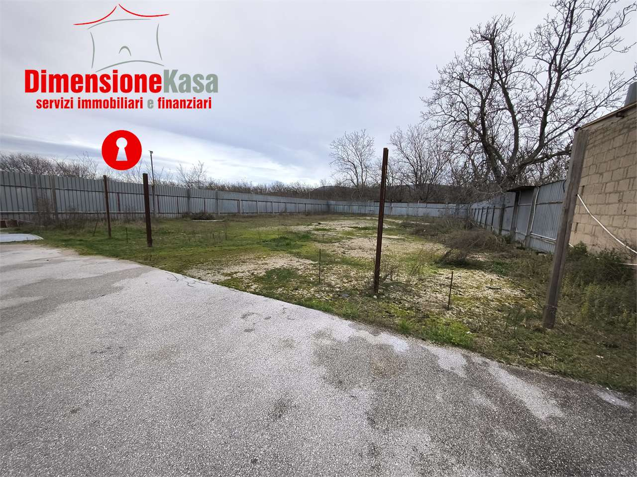 immagine annuncio 6 di 7