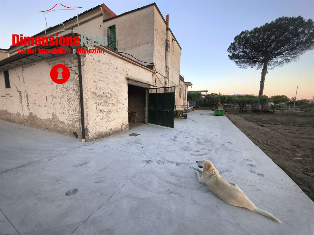 immagine annuncio 1 di 6