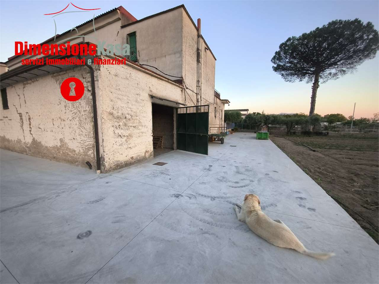 immagine annuncio 1 di 6