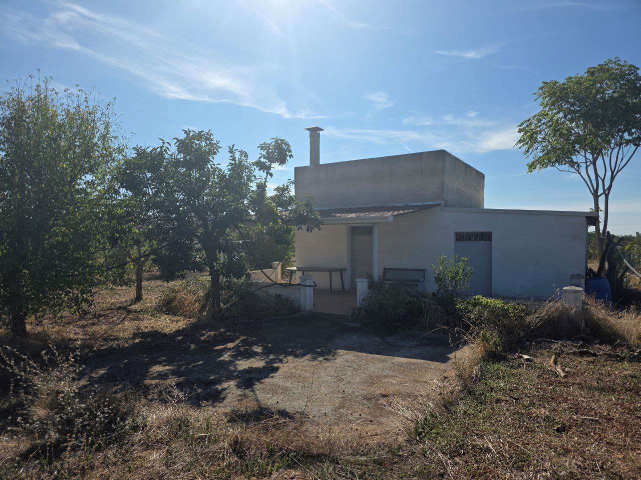 immagine annuncio 1 di 7