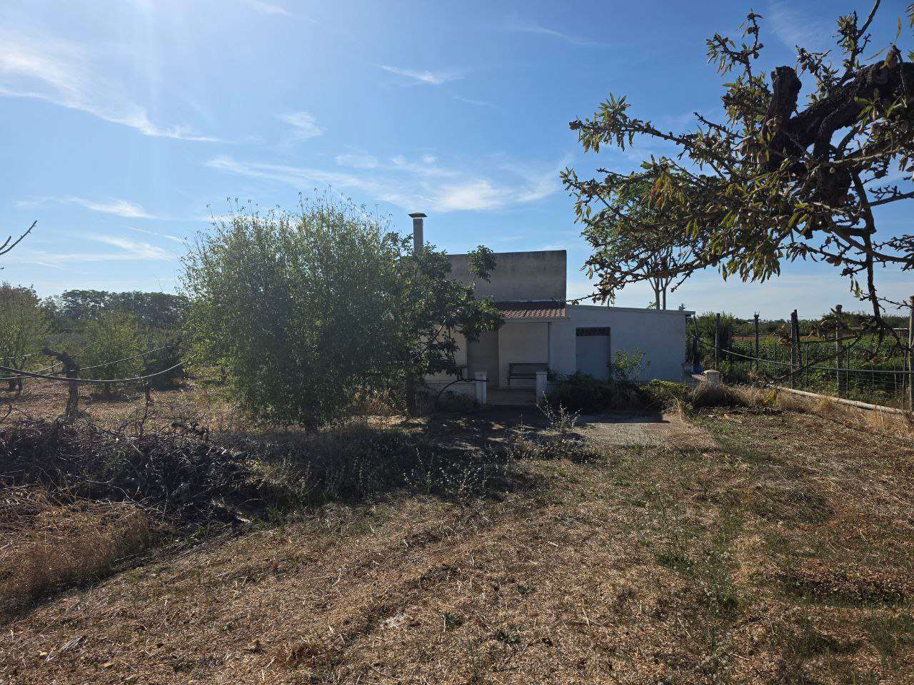 immagine annuncio 4 di 7