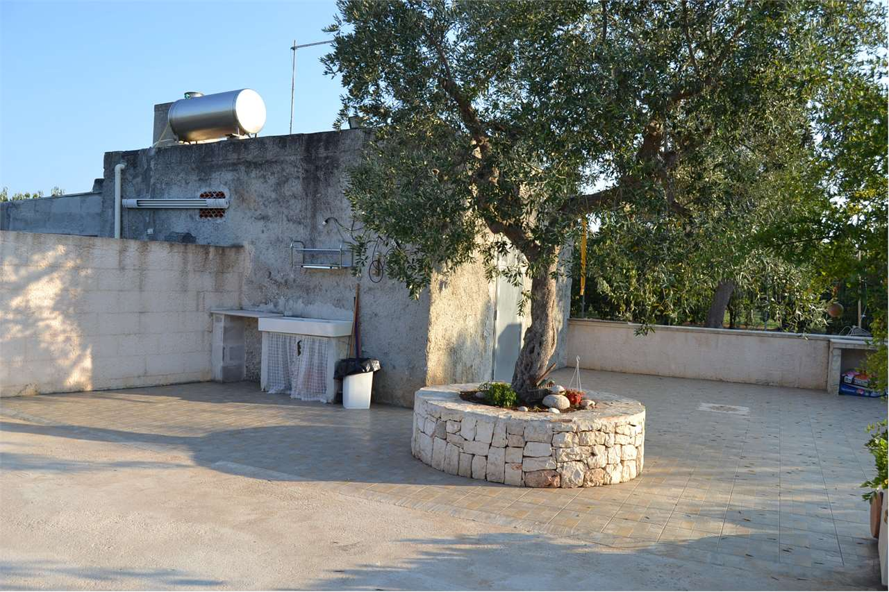 immagine annuncio 3 di 7