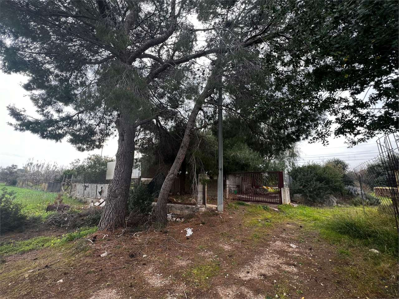 immagine annuncio 4 di 7